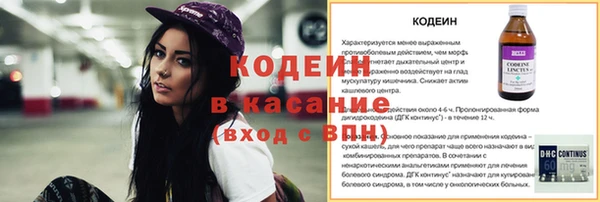 соль ск Богданович