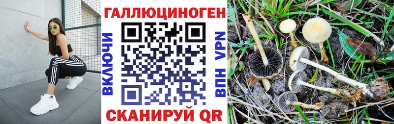 Псилоцибиновые грибы мухоморы hydra сайт Медногорск где купить